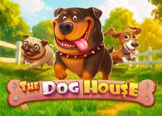 toy777 The Dog House ทดลองเล่นฟรี